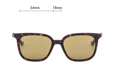 Gucci GG1493S Rectangle Sunglasses 